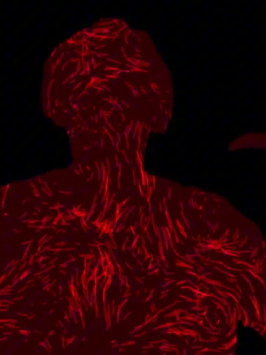 Flowers, still from a live rite